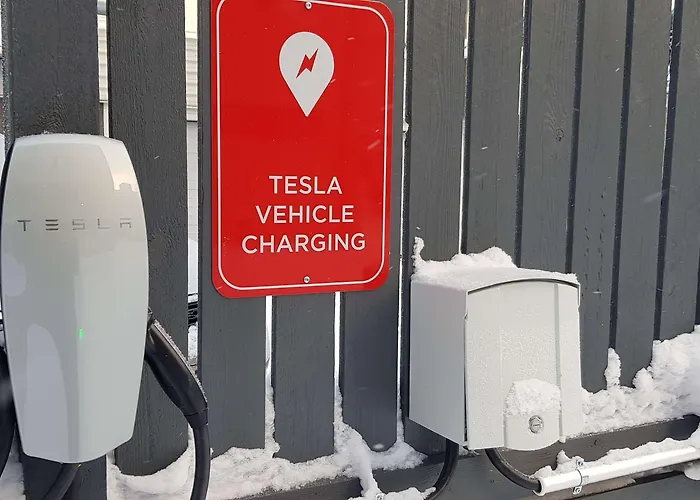 酒店 阿波罗贝斯特韦斯特酒店 3*